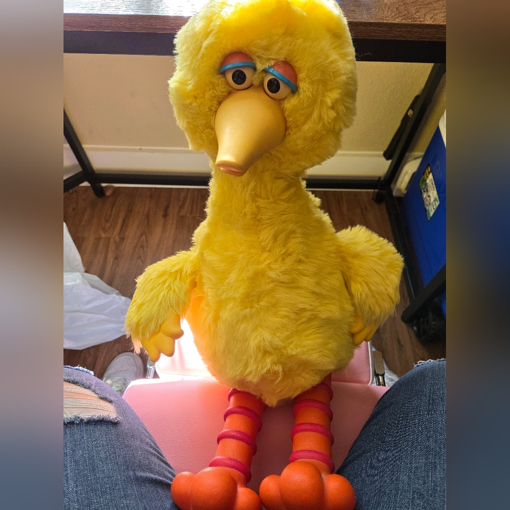 big bird story magic  Talking Plush Sesame  Street